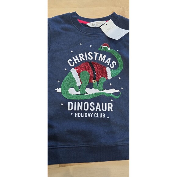 H&M Boys Dinosaur Christmas Holiday Sweatshirt 5/6 - Picture 2 of 4